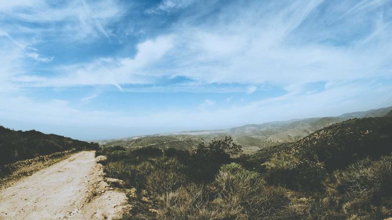 红桃影视.tv 智能推荐引擎界面